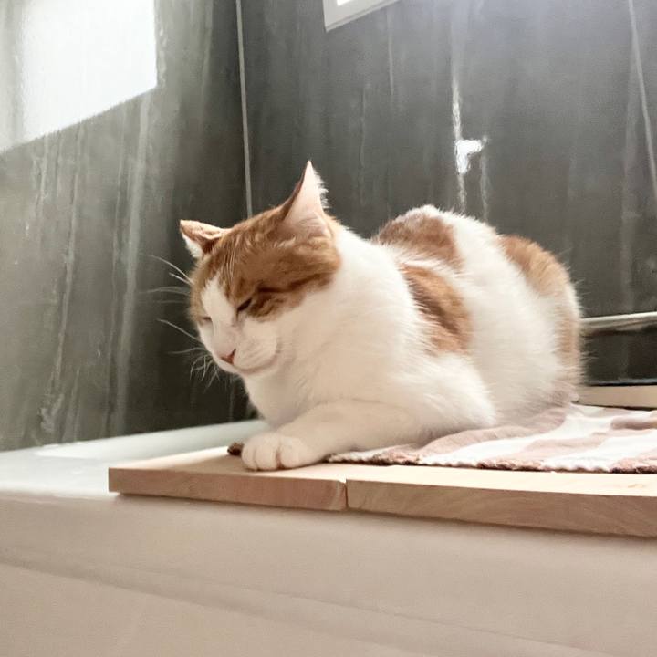 7f39a217 7858 4b69 97c7 933785bc2350 1761459670059