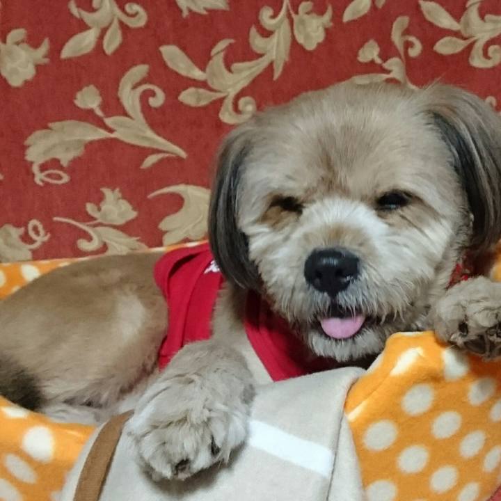 7f39a348 880a 46b4 aa17 d563809008ff 1514287119132