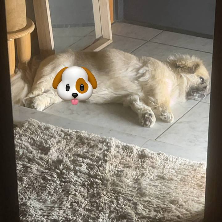 7f39ad08 6c61 4505 9fcd 161b63d368a3 1722983984091