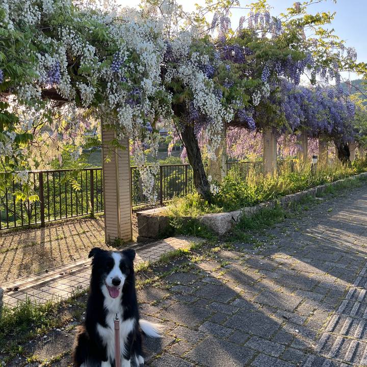 7f3a094c d45d 46a1 bb67 86439b80ebf0 1777107937198