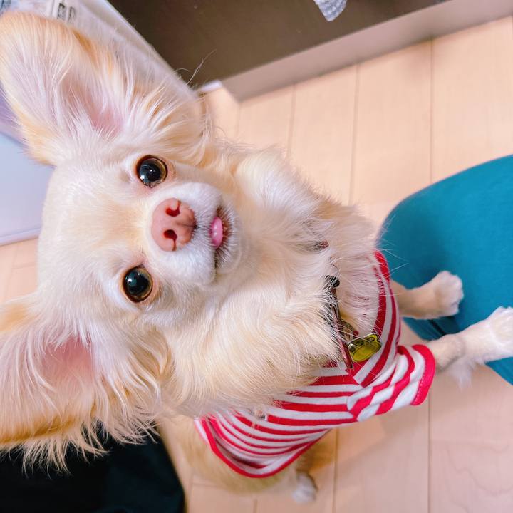 7f3a1d6a abfd 41a2 8b12 721669847f2c 1650180284227