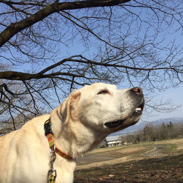 7f3a403c e456 4aad bab3 73563aaf7393 1553869106723