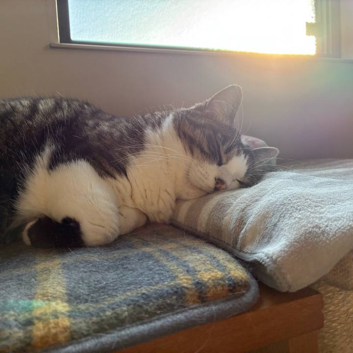 7f3a4518 73d3 4138 a8fa a6b3caa6ab8f 1771281828695