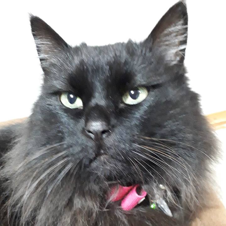 7f3a4ea5 e39d 41e6 9ca0 ecf6b9901165 1523957364599