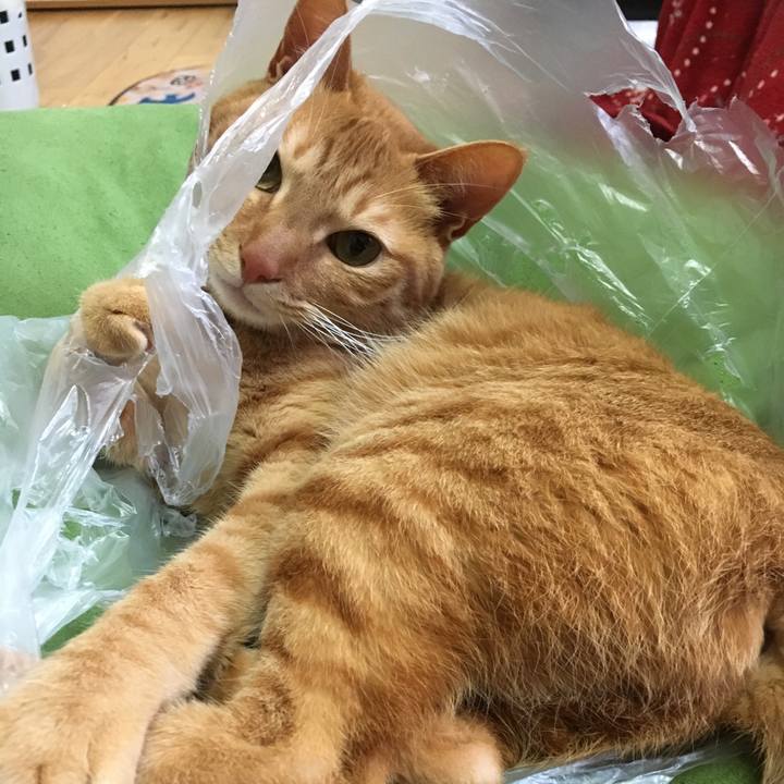 7f3a7048 479b 4ab4 b9c4 d9d2dce884c1 1518317090070