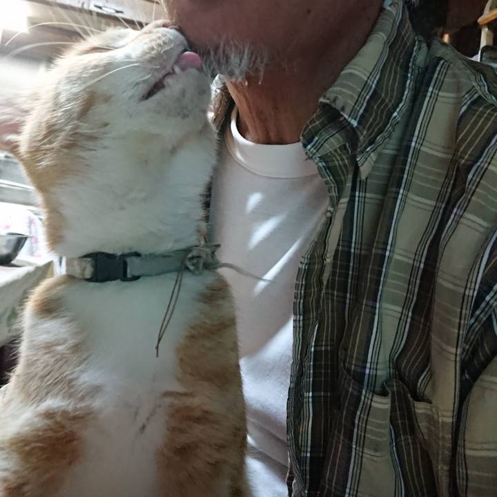 7f3abb2e e56d 4bda 893d 61f98ca34ecf 1592826885265