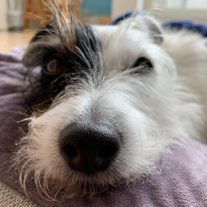 7f3ac3cd d34c 4f49 a17e 497b91a0820f 1638930556158