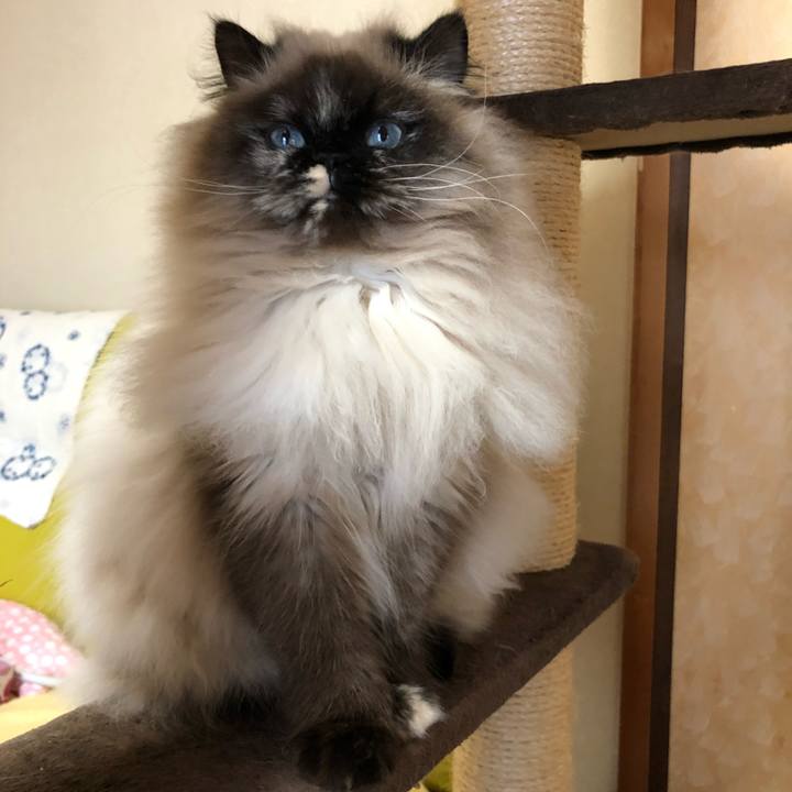 7f3acd65 fa34 4584 a000 d0917c8ed7b3 1647257187039