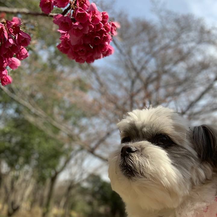 7f3ae8cb e9a6 487a a422 415f918cd402 1553486483346