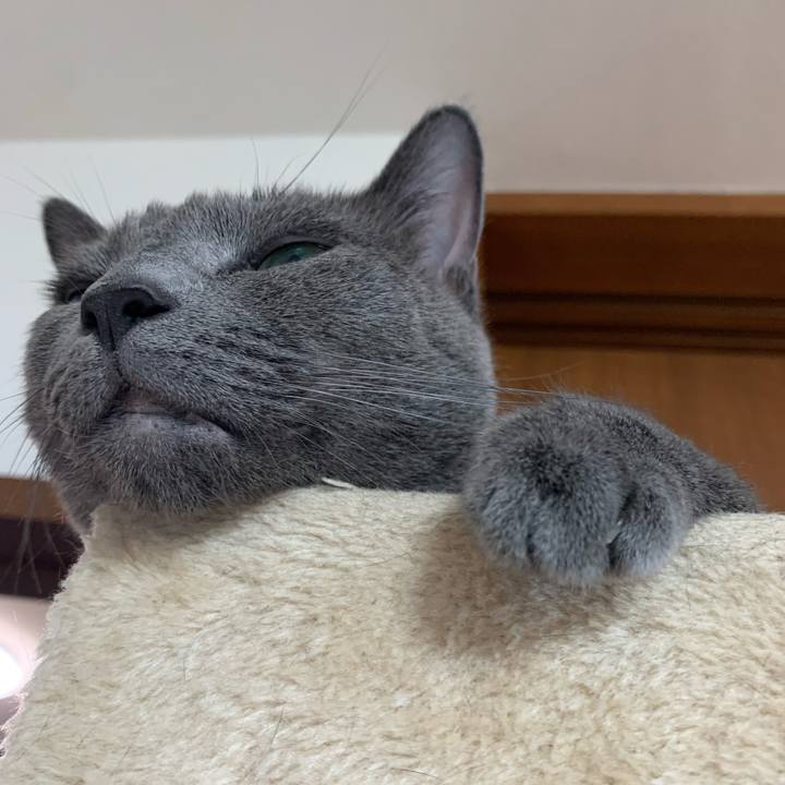 7f3af878 10c8 408f 9ab3 56972f737f1b 1658654944308