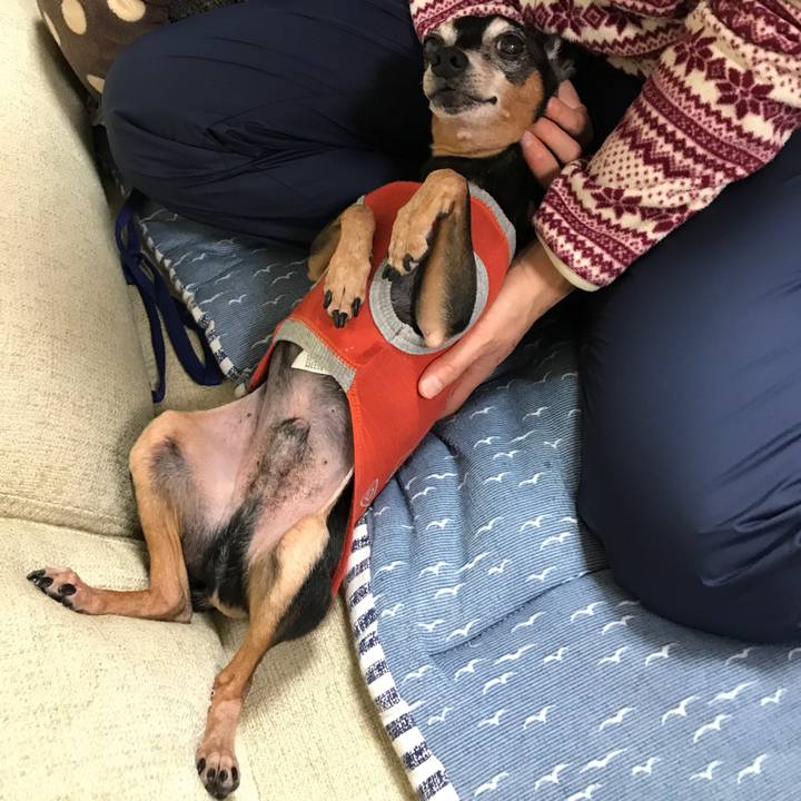 7f3b07d3 3f18 425d 8ad9 45108c30d597 1515330243675