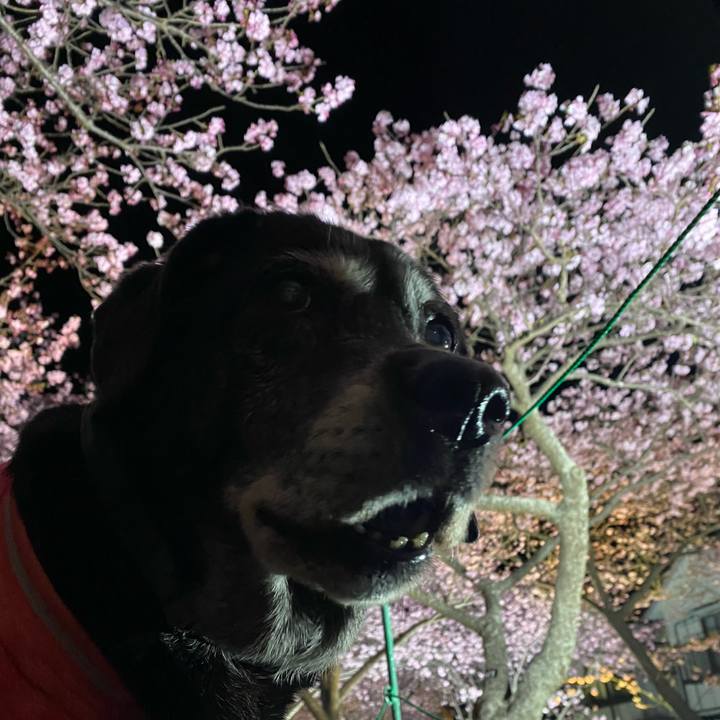 7f3b4006 4cb5 4128 badb 3326292214f4 1740745897847