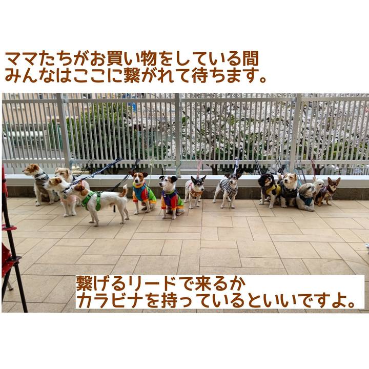 7f3b49df 59eb 4360 8de0 6d6d1560b770 1621841708317