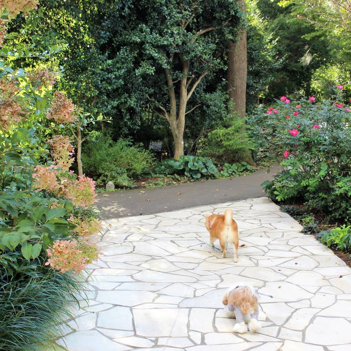 7f3b5540 2796 4d11 bd4c 7d29242361a8 1634390662258