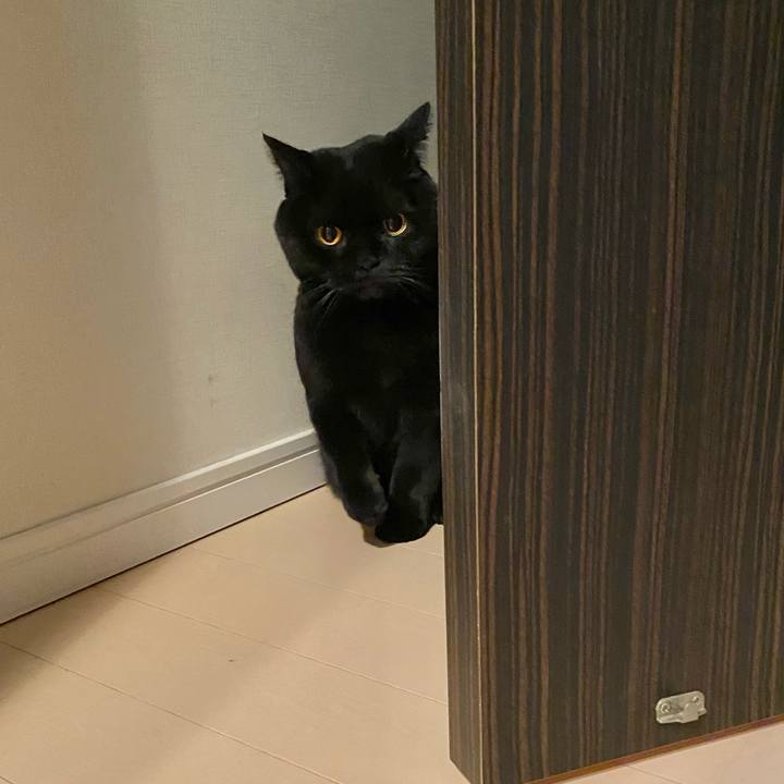 7f3b5d3d 6a87 4593 b801 846588b873eb 1737804768045