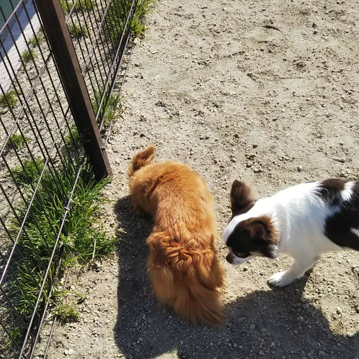 7f3b5fd2 731a 4cda 82fd 65d53da8b943 1582520710565