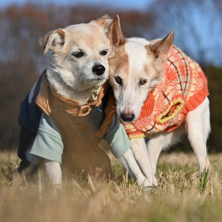 7f3b9c7e c161 4a35 a7a3 29b047a4002b 1765364431527