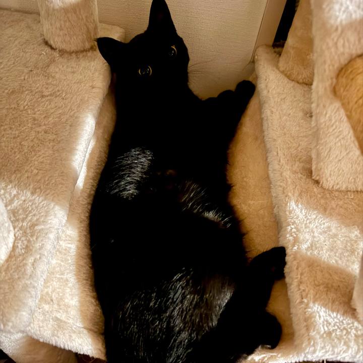 7f3bd16a d246 4b06 81ea a0fade4c2873 1756388819985