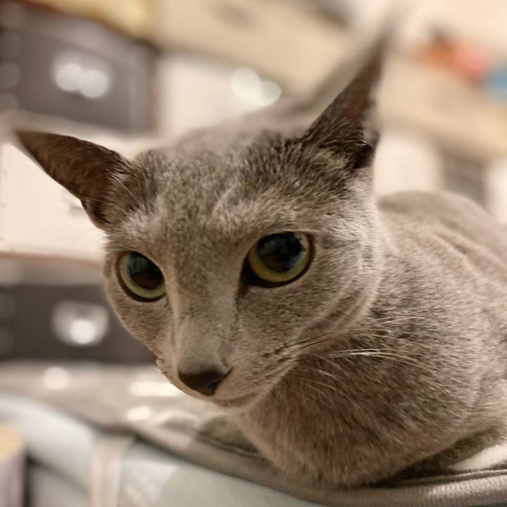 7f3beb6e a9e1 464e ad82 1effb433cef2 1649202686180