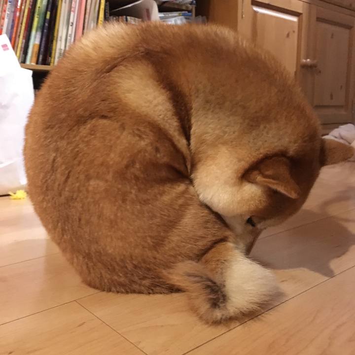 7f3c0831 2cef 4233 8ca3 b8a1f4a2acd7 1540173630948