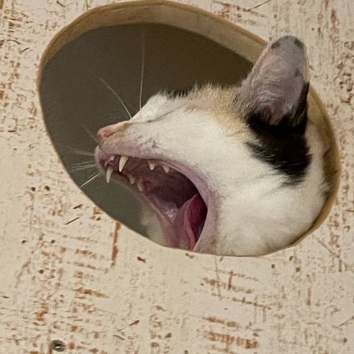 7f3c1a12 5e1c 4530 9e46 6495b929969c 1757423374342