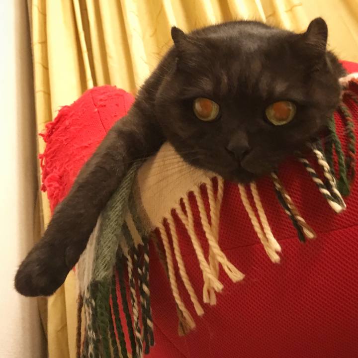 7f3c7929 ba05 475f b50d 7a6678f48dde 1537893517800