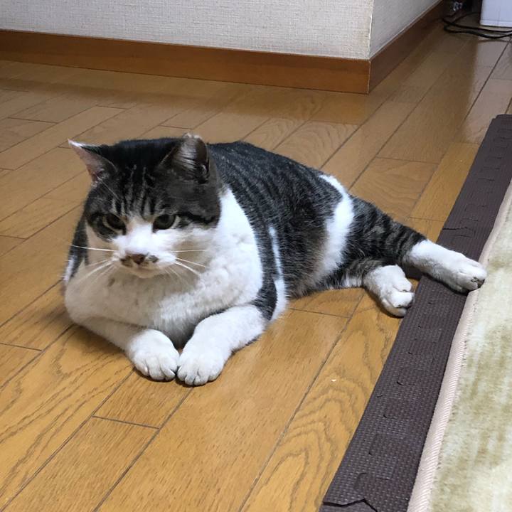 7f3cb170 ea35 4a39 8826 4fa9f50d0cdf 1550293113572