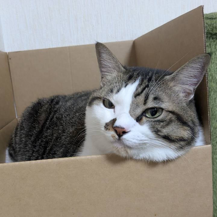 7f3cb408 7fe4 4242 94f5 4588437ba46d 1762822489768