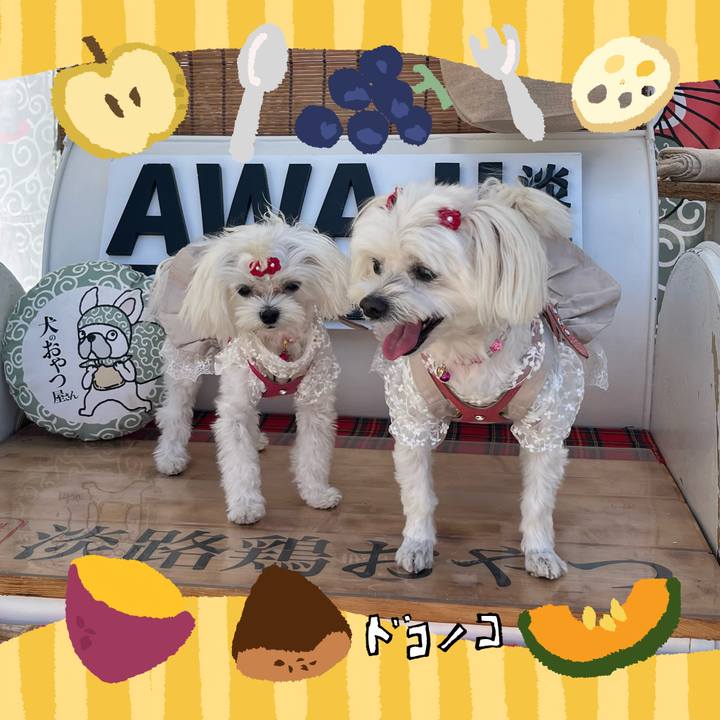 7f3cb74b a84d 4cc9 8cbe 0b3f67c6aee9 1727089522938