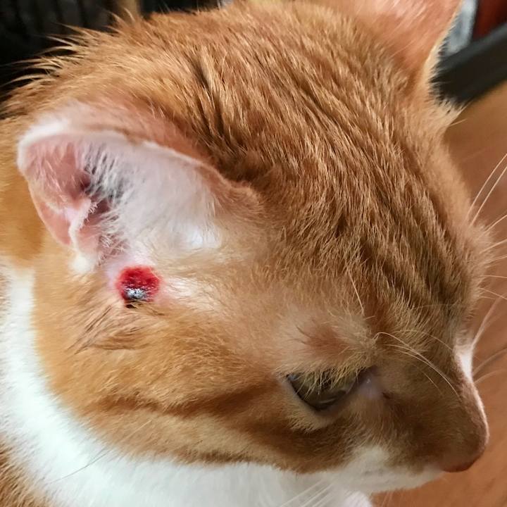 7f3cc56a f64b 4439 8171 8834d8bc676d 1569375463866