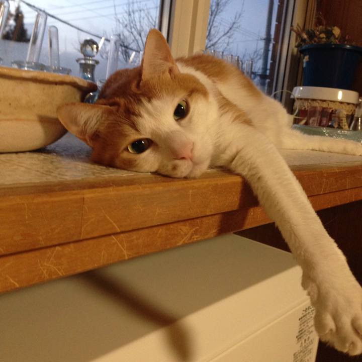 7f3cc578 12f0 4677 8d5a 2c38bad09bac 1513719570263