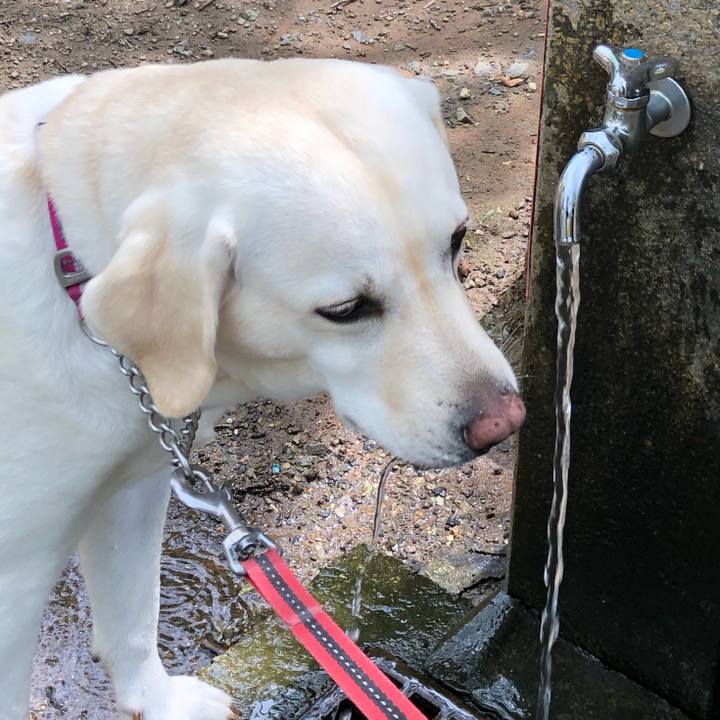 7f3cde04 ad33 4f15 9bd6 67d7647eef1d 1594600751418