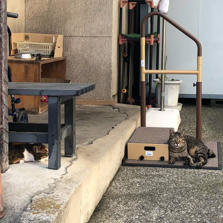 7f3cde56 ecf2 44db 9d14 2f39453ceacc 1538397039347