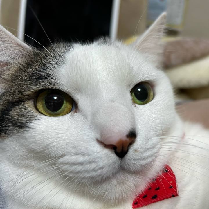 7f3ceb48 95b7 45c2 9f20 f899cdd60802 1764956023937