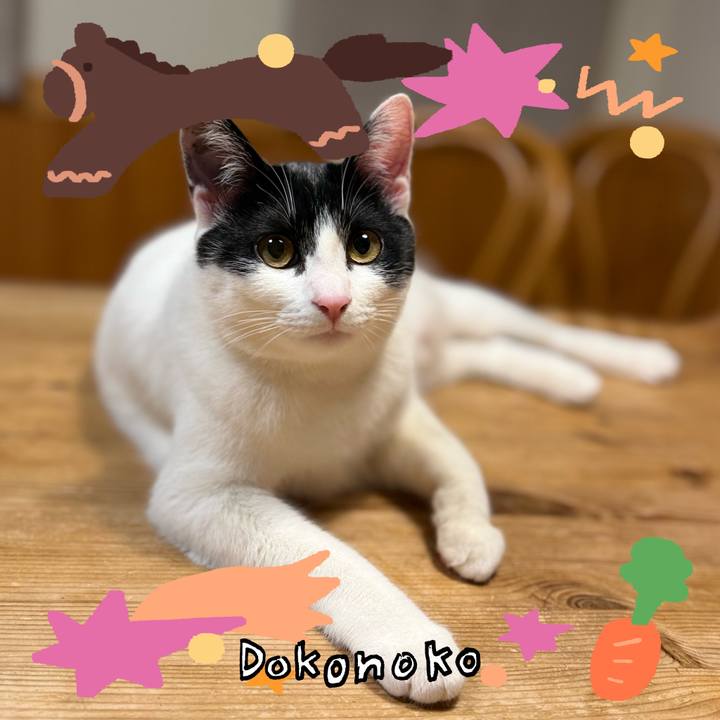 7f3d037a b400 4ee5 a4fa 458cd2c06cb1 1771984638752