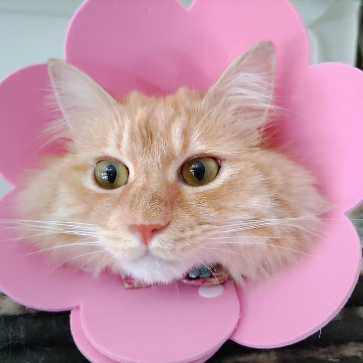 7f3d253b 39a7 4bf9 b9a6 011d3a9dbd16 1687224568616