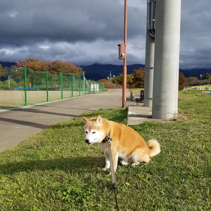 7f3da1f1 90a7 475d 8042 e7931903e360 1697866900417