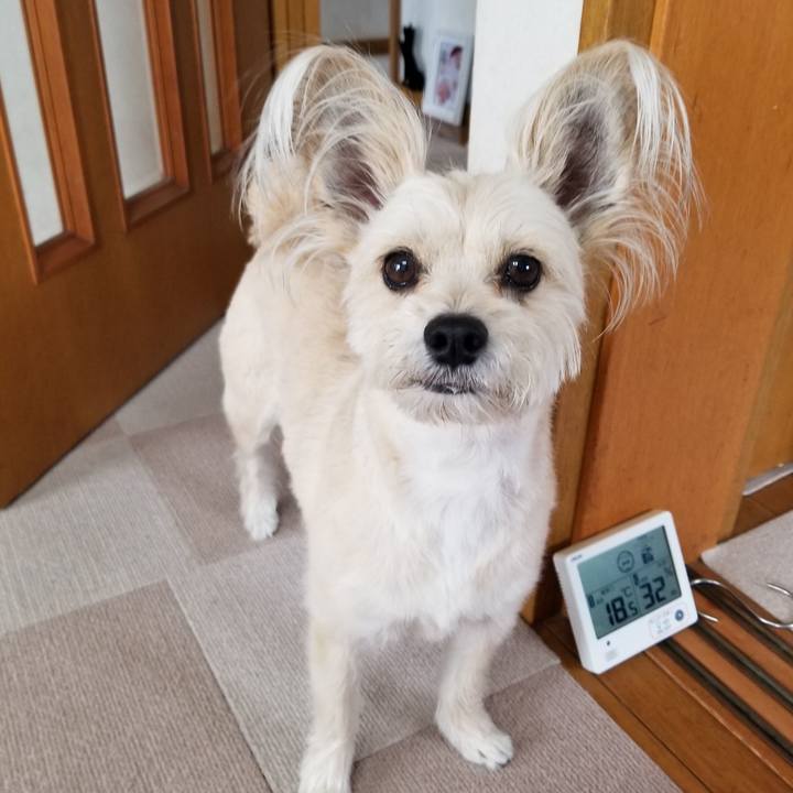 7f3daa5a 9109 4002 bccf 778759f95a5a 1556367205676