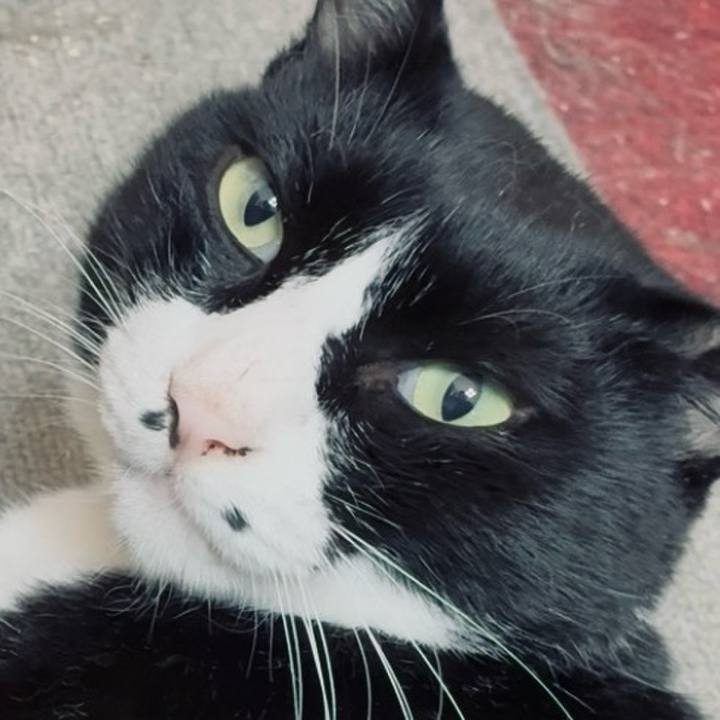 7f3db899 e85c 4f0b bfee f13e0c7563d0 1757125876787