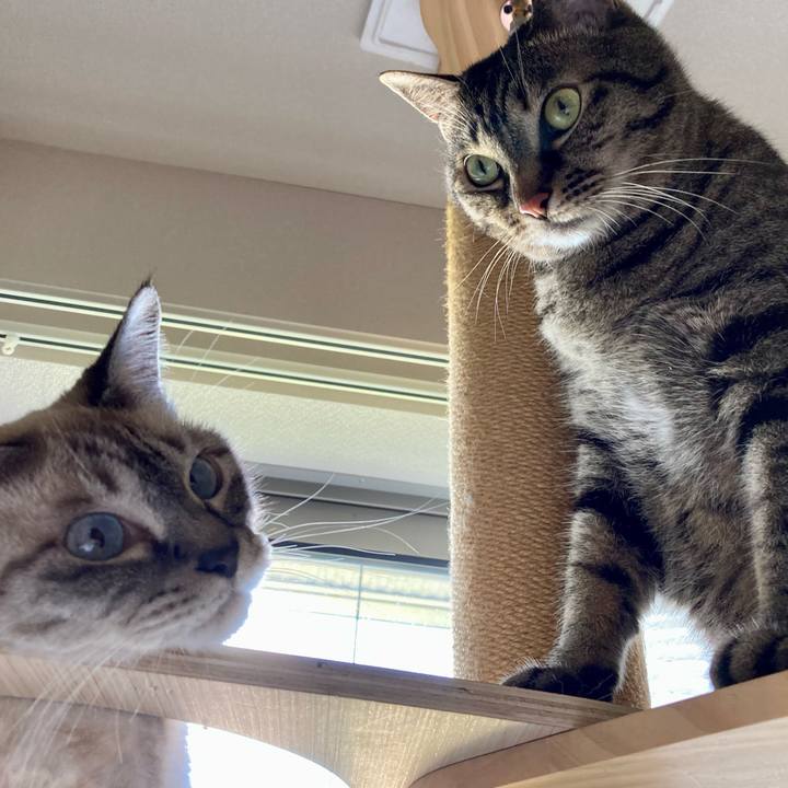 7f3dba09 a747 4d67 a908 43ac24a70a56 1659161888772