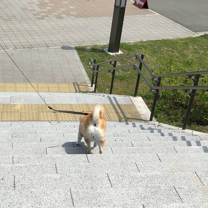 7f3dbe70 4d63 493b a357 fb509deb9057 1557292132029