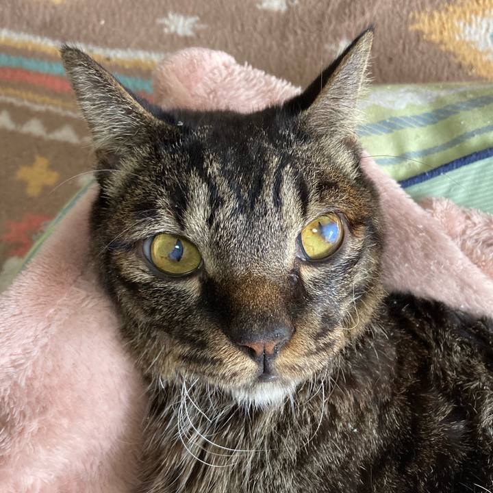 7f3dd08b ae58 41b9 9070 7e2604064b7e 1650089305084