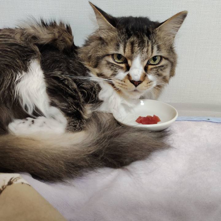 7f3e2488 7a26 44a6 9d1a fe13ea6afa6f 1776211363014