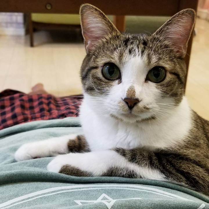 7f3e44b4 86a7 46c0 b3df a9960eaa997f 1521556935191