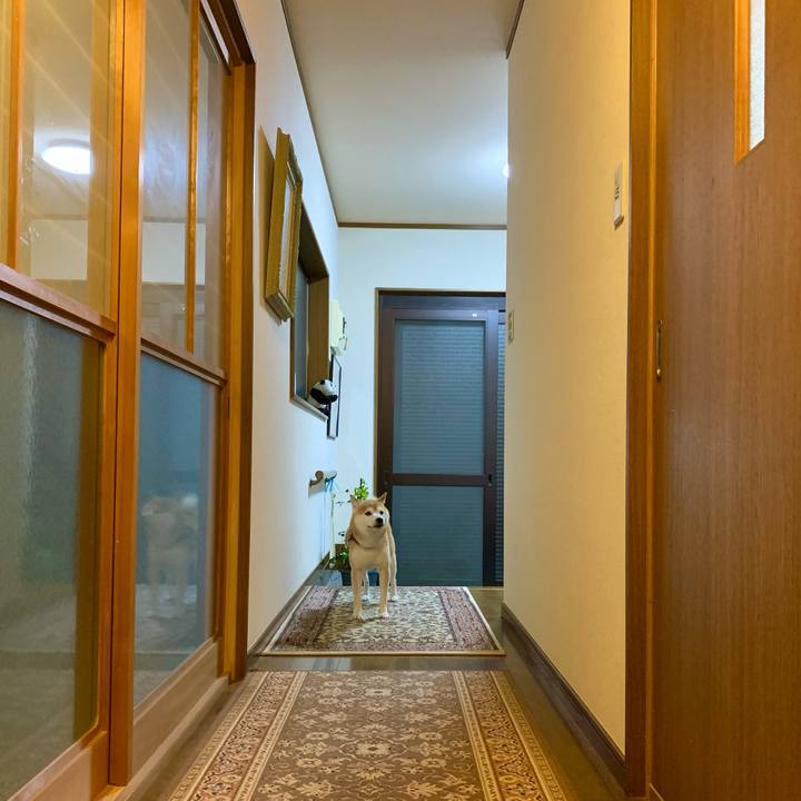 7f3e469c 831c 4f7d 8892 7ced38739240 1691751749994