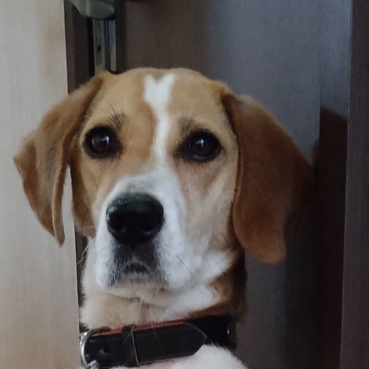 7f3e4ba8 a4c4 43d5 8ccd 3762d863b260 1624365623367