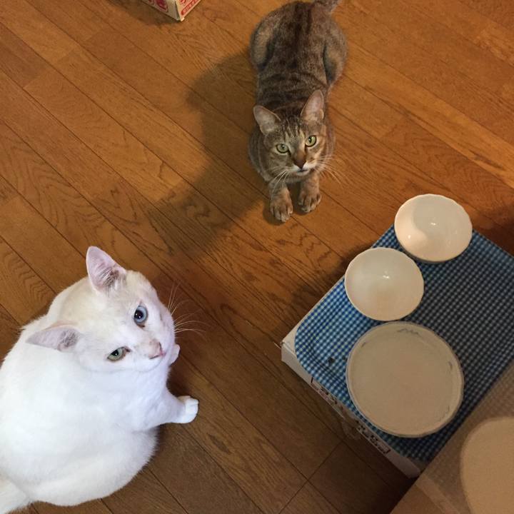 7f3e7a86 4fa1 4c23 8ed1 2c31db3b995b 1533765317498