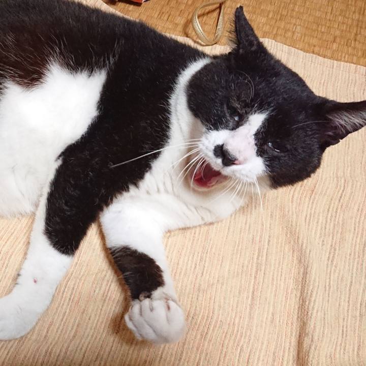 7f3ea35e 5711 48ee b2ff 12390b1f0465 1594898558445