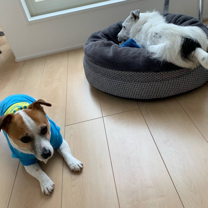 7f3ed99b d427 4e5f 9214 34bf34e7e92d 1615269410909