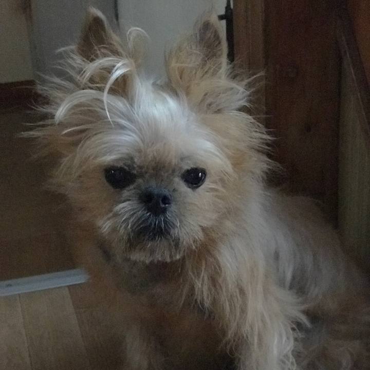 7f3edaf8 3ee4 42cd 8670 019a2a45d22b 1566473995205